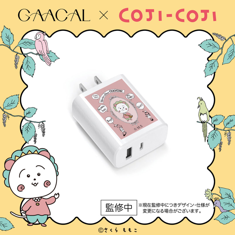 GAACAL x Cojicoji charging adapter
