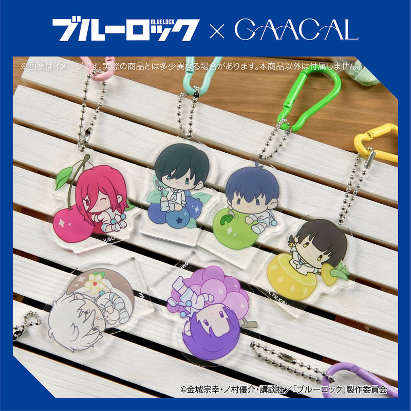 Limited quantity Blue Rock x GAACAL mini clear pouch with charm, fruit version, by Rin Ito