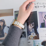 "Ceramic Touch" double-sided Apple Watch band