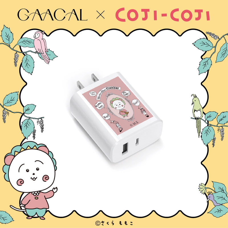GAACAL x Cojicoji charging adapter