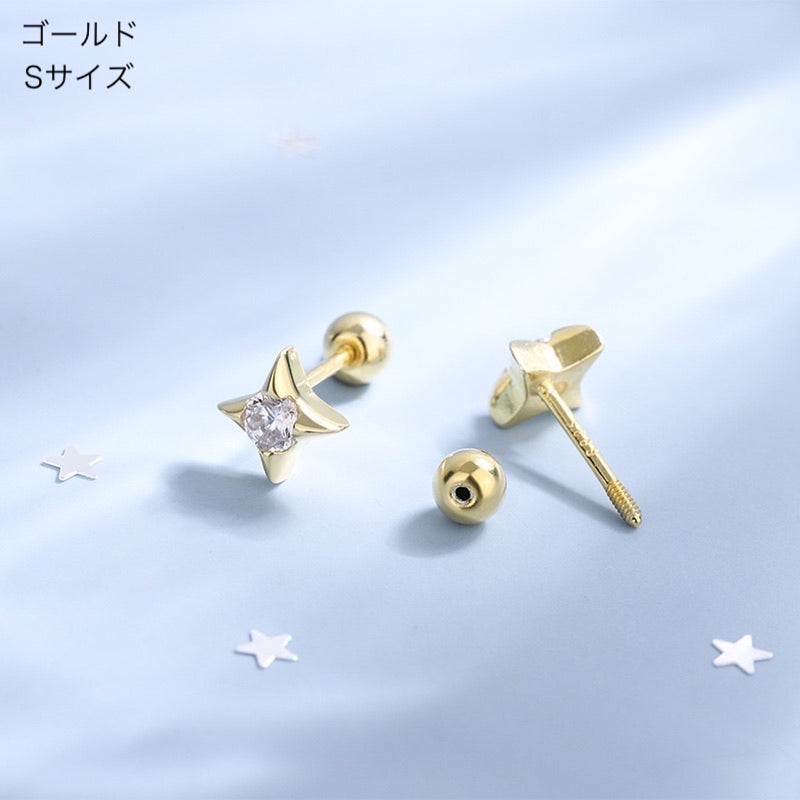 "Daily Star" S925 earrings