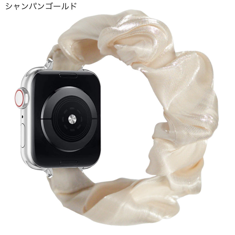 "Smart Frame" Apple Watch Frame