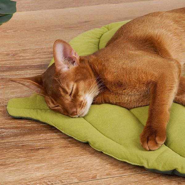 "Sleep with Leaves" Leaf-shaped pet bed